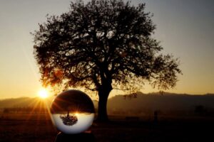 Mehr über den Artikel erfahren Drehung um 180 Grad