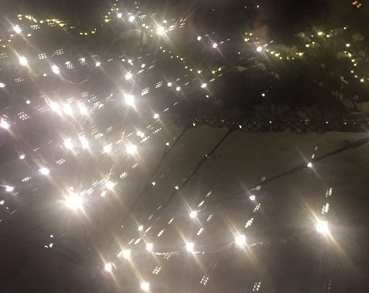 Mehr über den Artikel erfahren Neues Jahr – neue Chancen