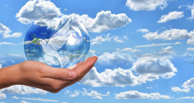 Mehr über den Artikel erfahren Frieden und Krieg